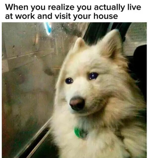[Linked Image]