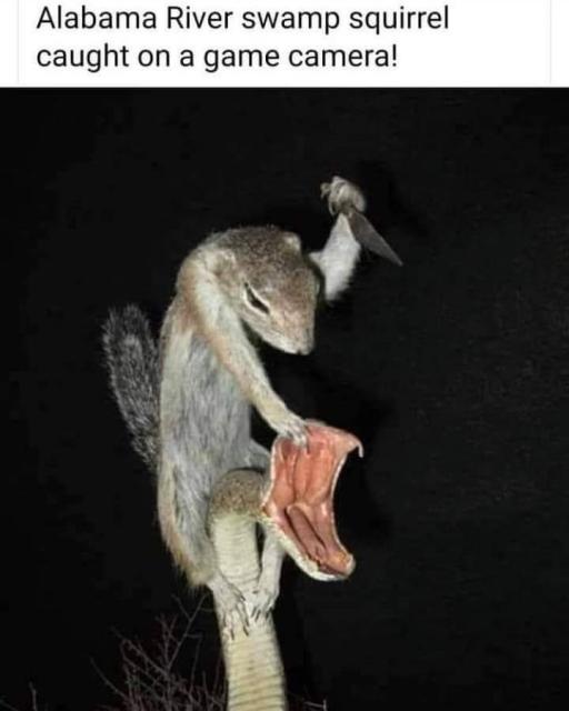 [Linked Image]