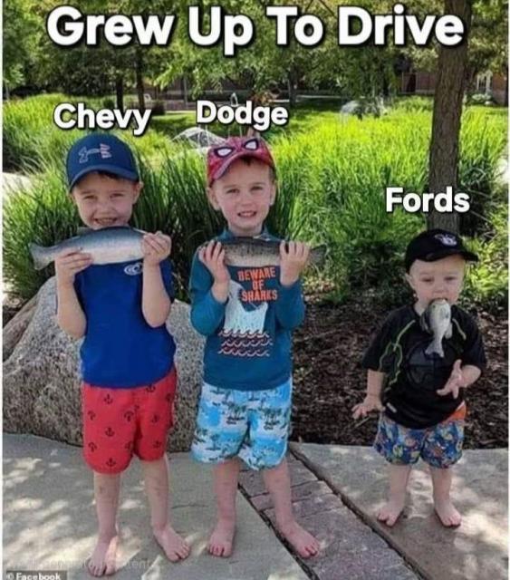 [Linked Image]