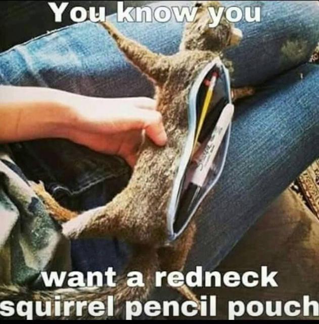[Linked Image]