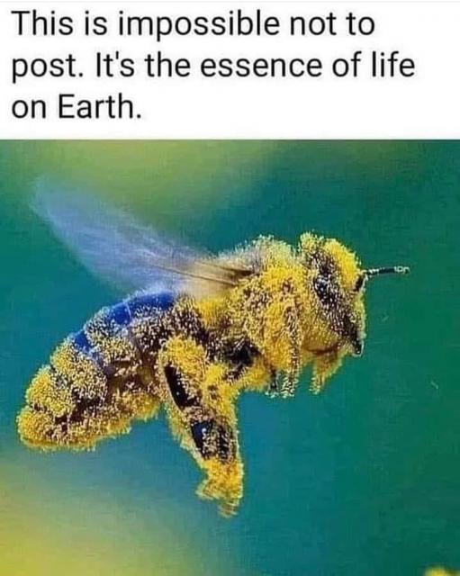 [Linked Image]