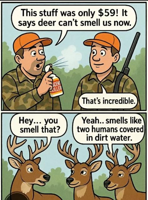 [Linked Image]