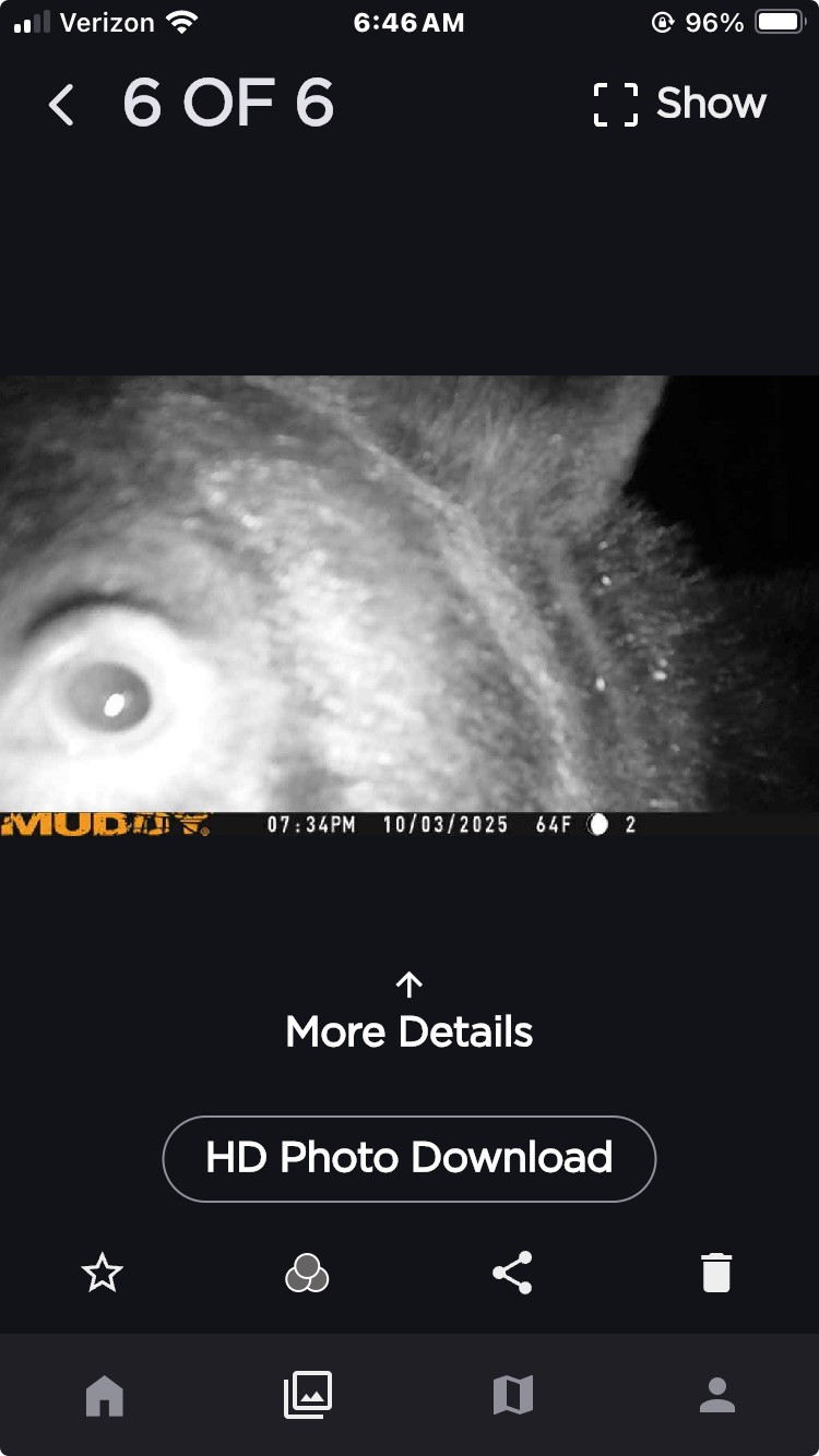 [Linked Image]