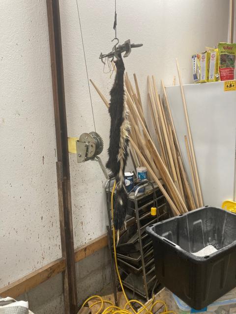 [Linked Image]