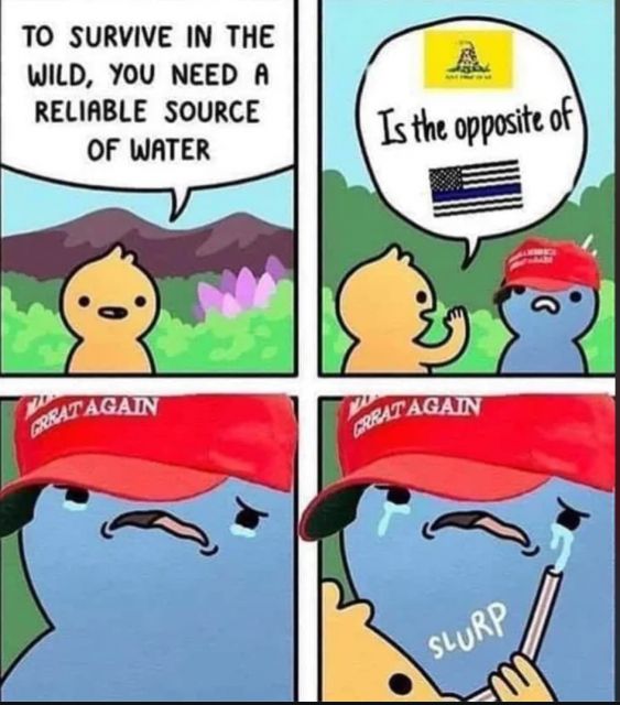 [Linked Image]