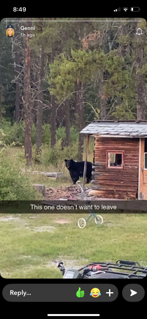 [Linked Image]