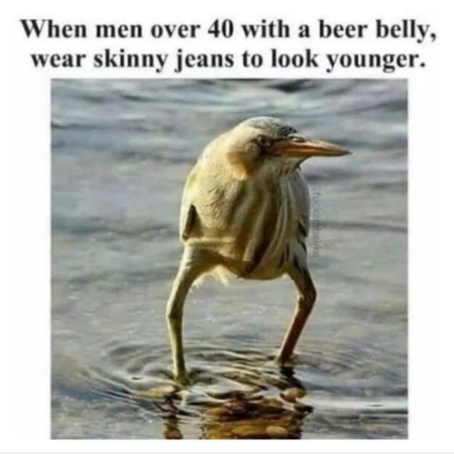 [Linked Image]