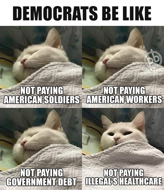 [Linked Image]