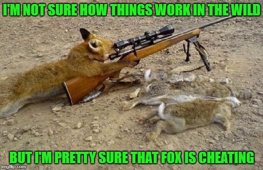 [Linked Image]