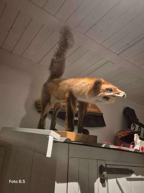 [Linked Image]