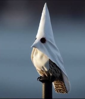 [Linked Image]