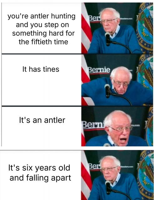 [Linked Image]