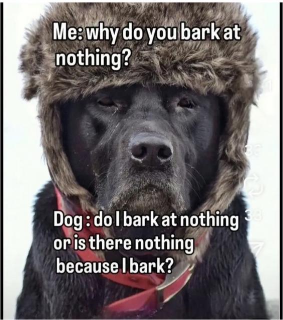 [Linked Image]