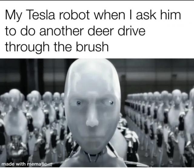 [Linked Image]