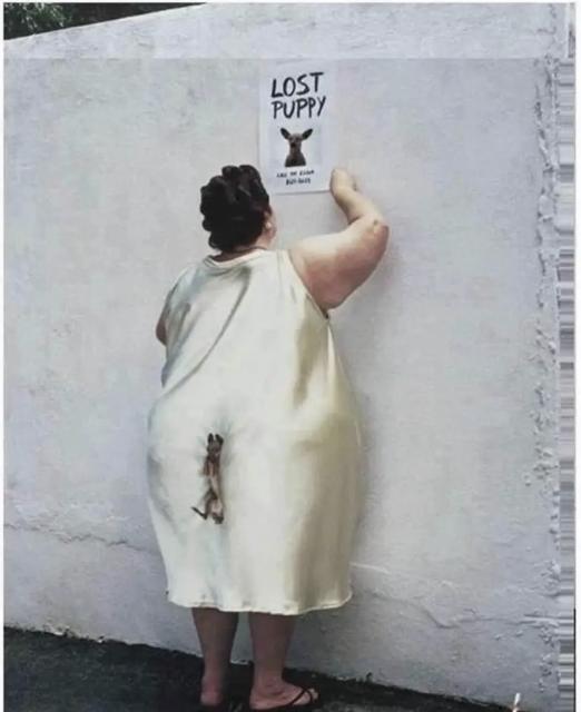 [Linked Image]