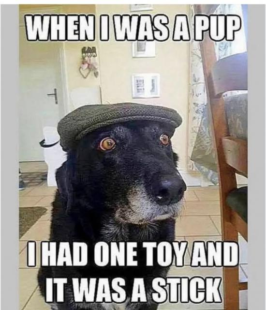 [Linked Image]