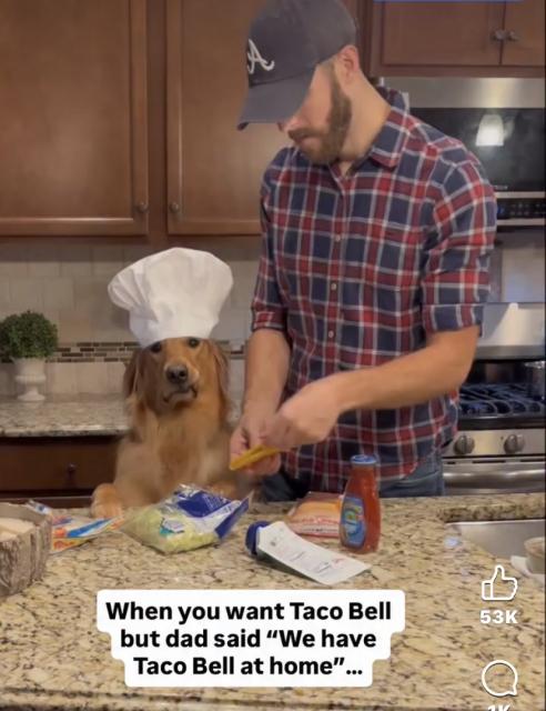 [Linked Image]