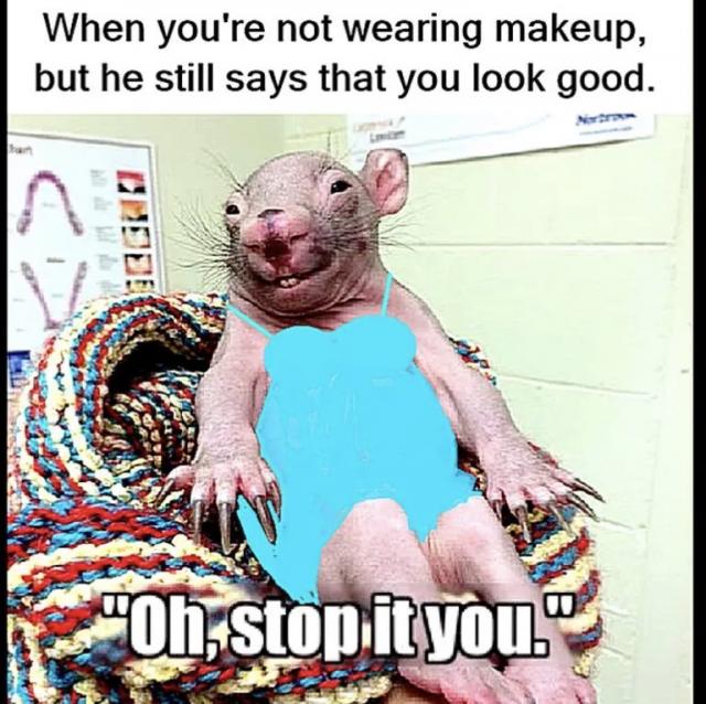 [Linked Image]