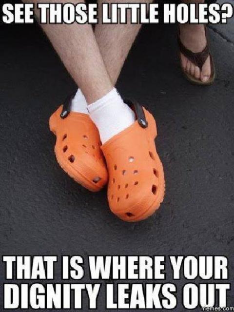 [Linked Image]