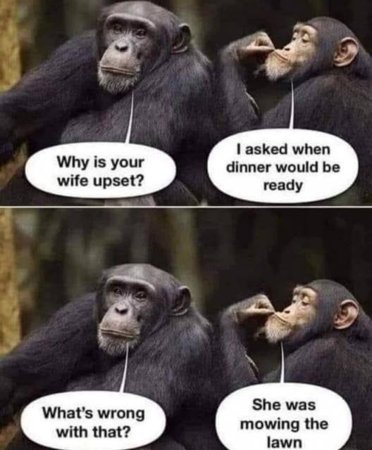 [Linked Image]