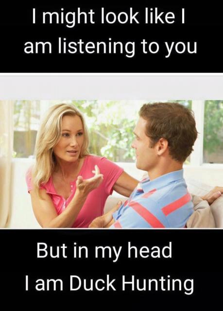 [Linked Image]