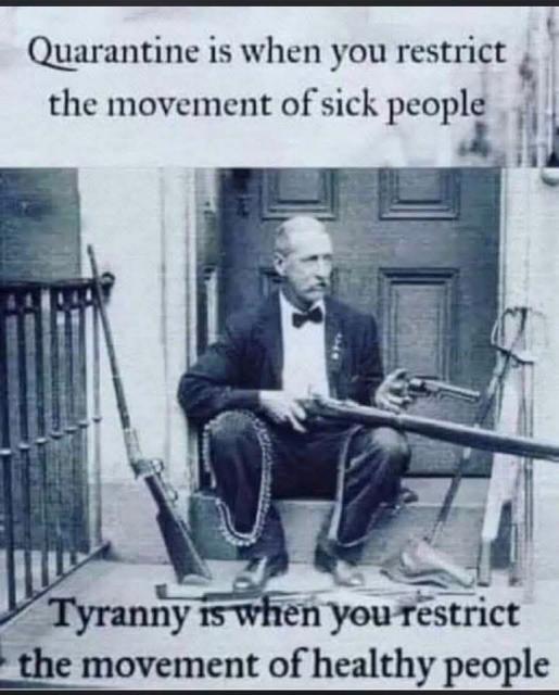 [Linked Image]