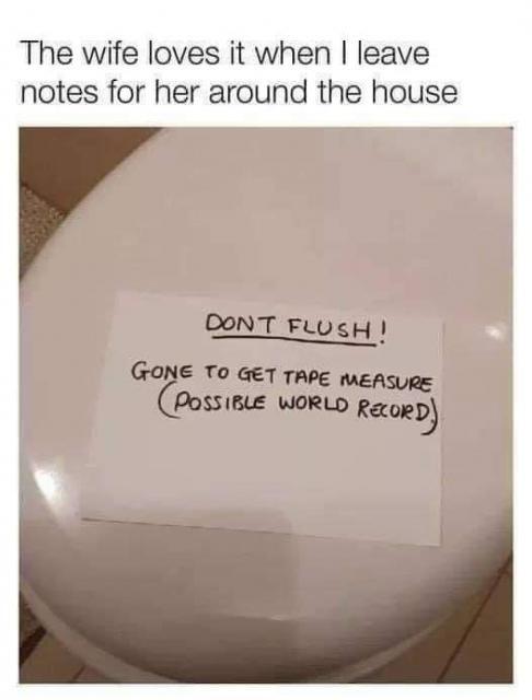 [Linked Image]