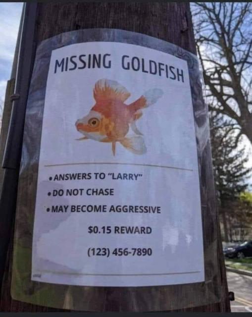 [Linked Image]