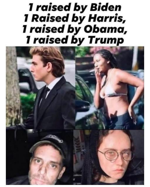 [Linked Image]