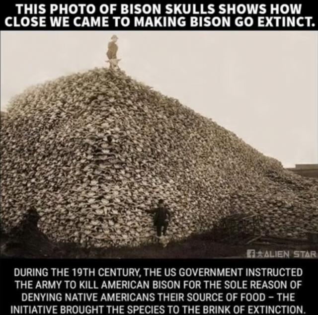 [Linked Image]