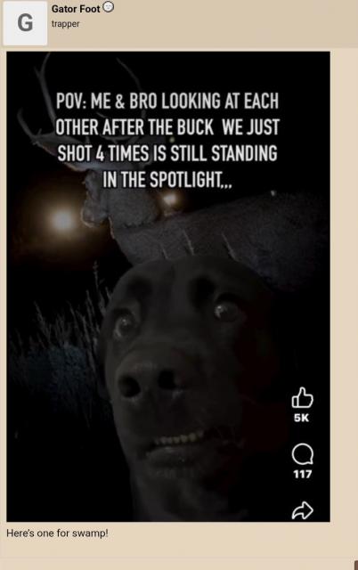 [Linked Image]