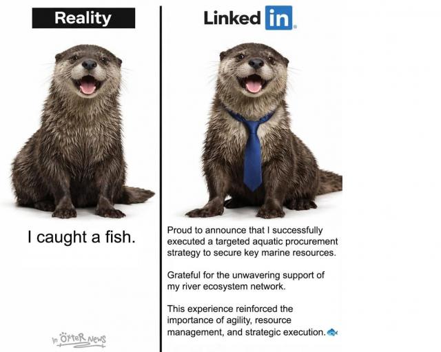 [Linked Image]
