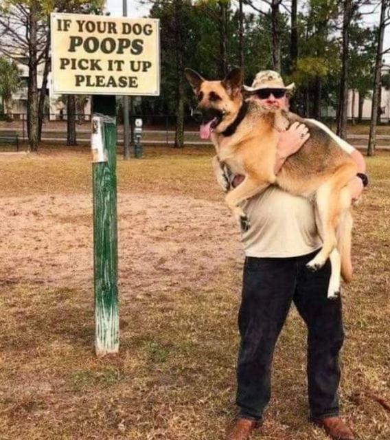[Linked Image]