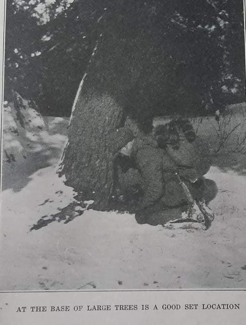 [Linked Image]