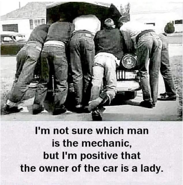 [Linked Image]