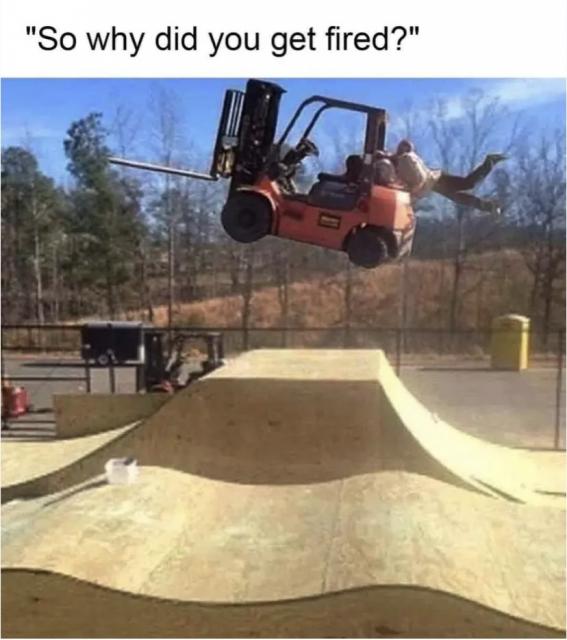 [Linked Image]