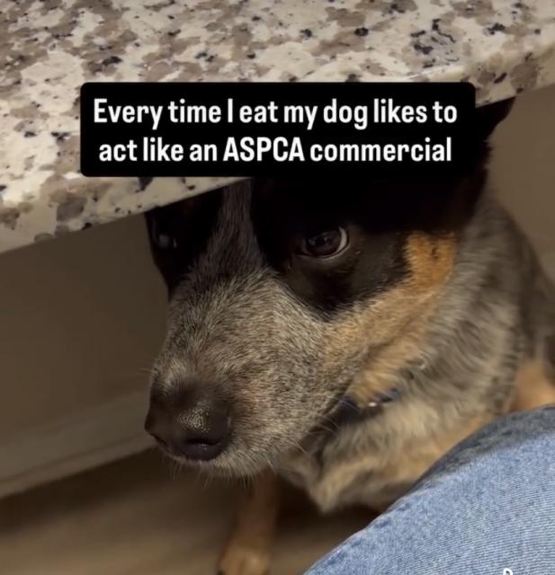 [Linked Image]