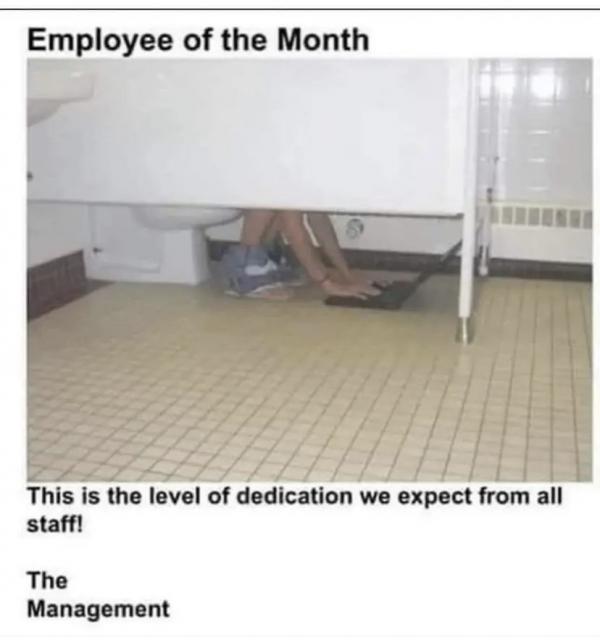 [Linked Image]
