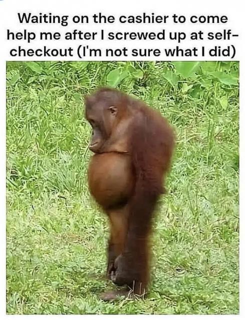 [Linked Image]