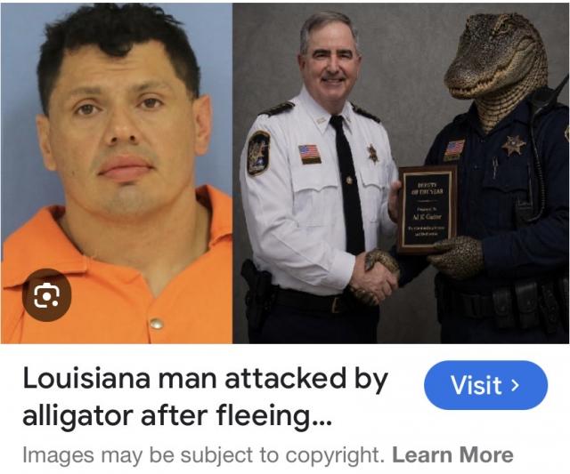 [Linked Image]