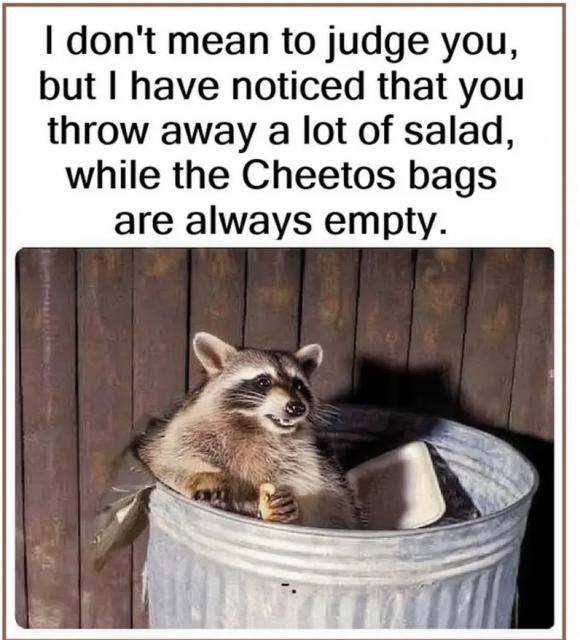 [Linked Image]