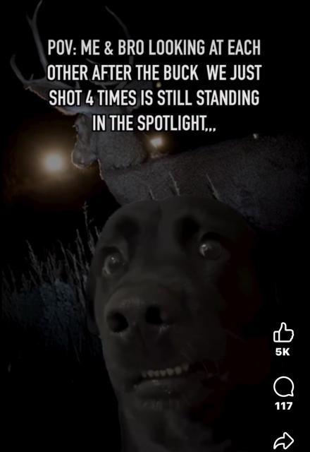 [Linked Image]