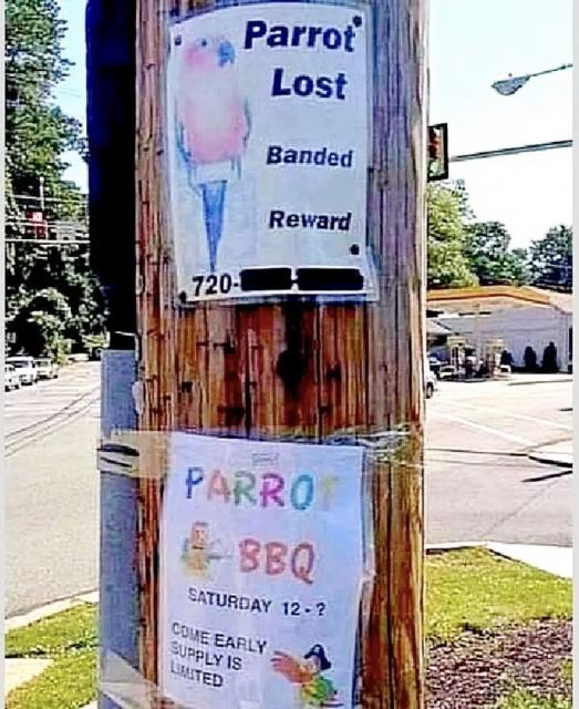[Linked Image]