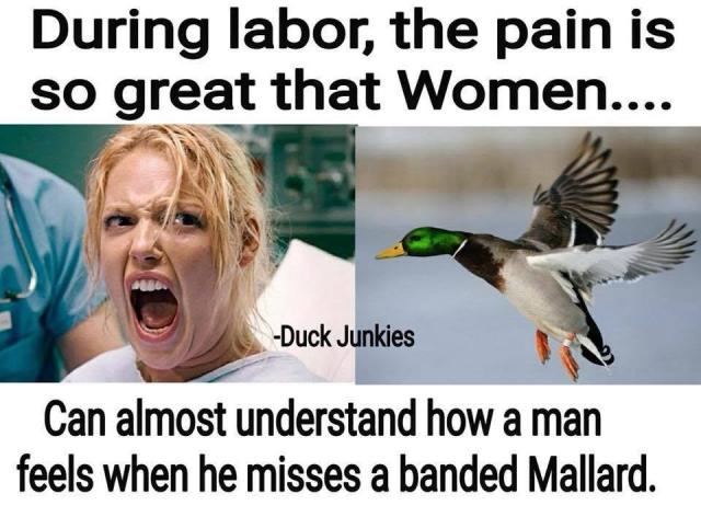 [Linked Image]