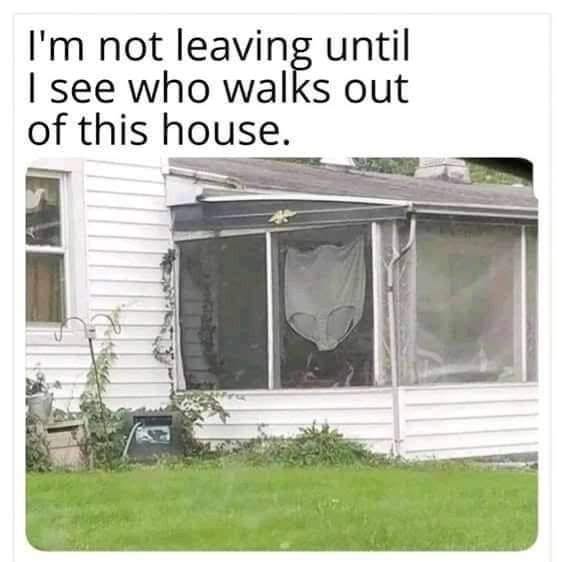 [Linked Image]