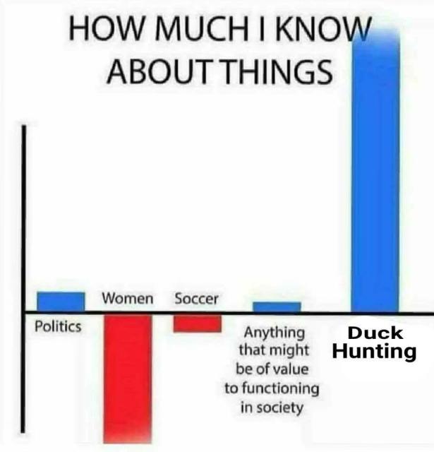 [Linked Image]