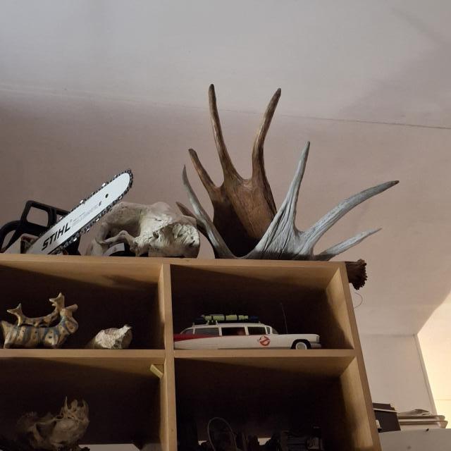 [Linked Image]