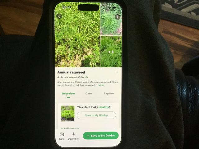 [Linked Image]