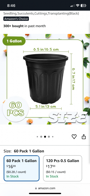 [Linked Image]