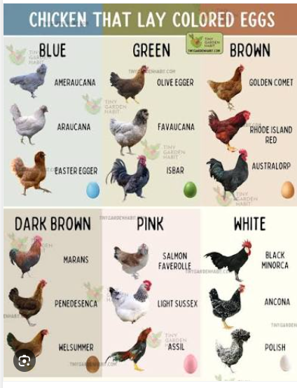 [Linked Image]